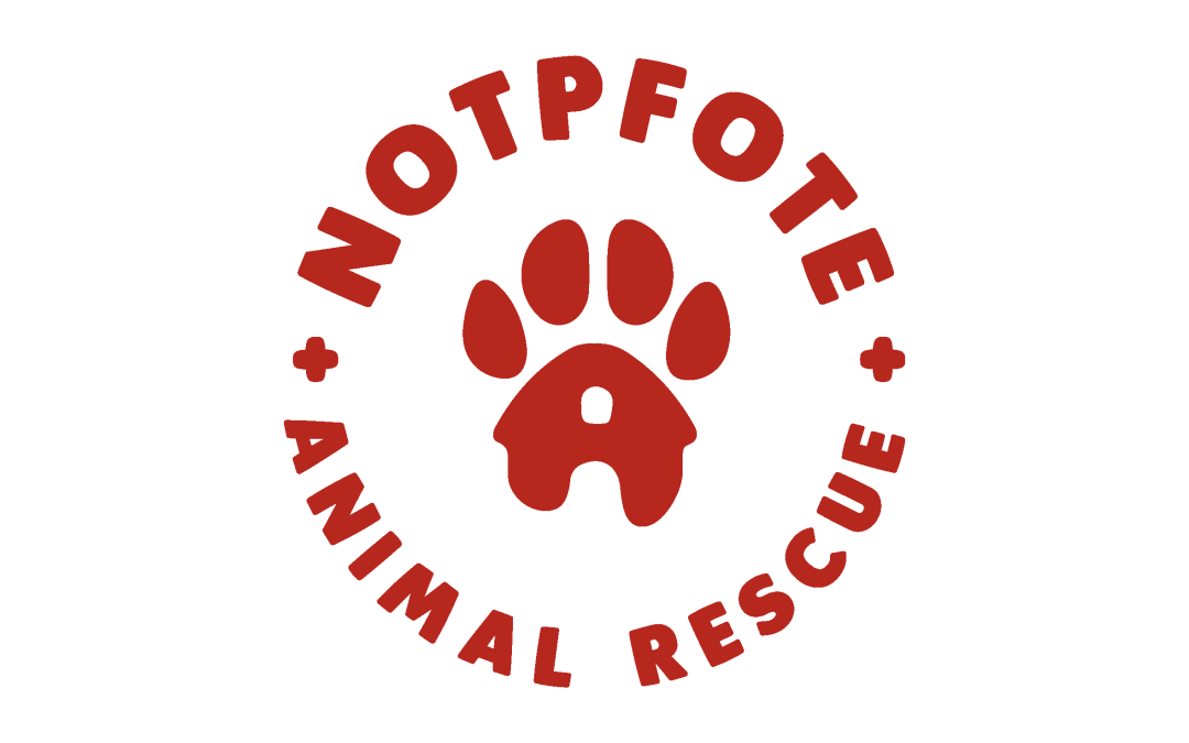 Notpfote Animal Rescue e.V.