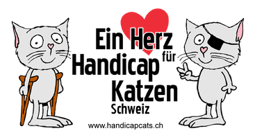 Handicapcats Schweiz